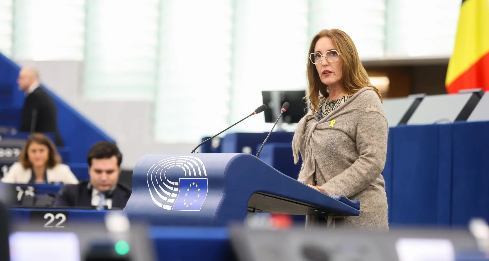 Donazzan alla Commissione Ue: “Valbruna non deve chiudere”