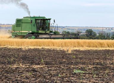 Ue, 'al lavoro con Kiev sui corridoi per l'export di grano'