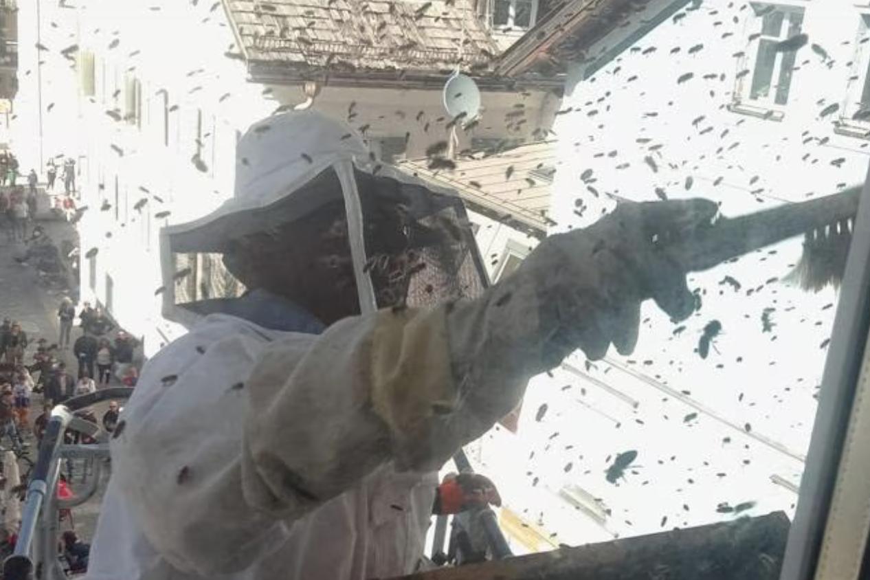 San Candido, intervento dei vigili del fuoco per uno sciame in centro