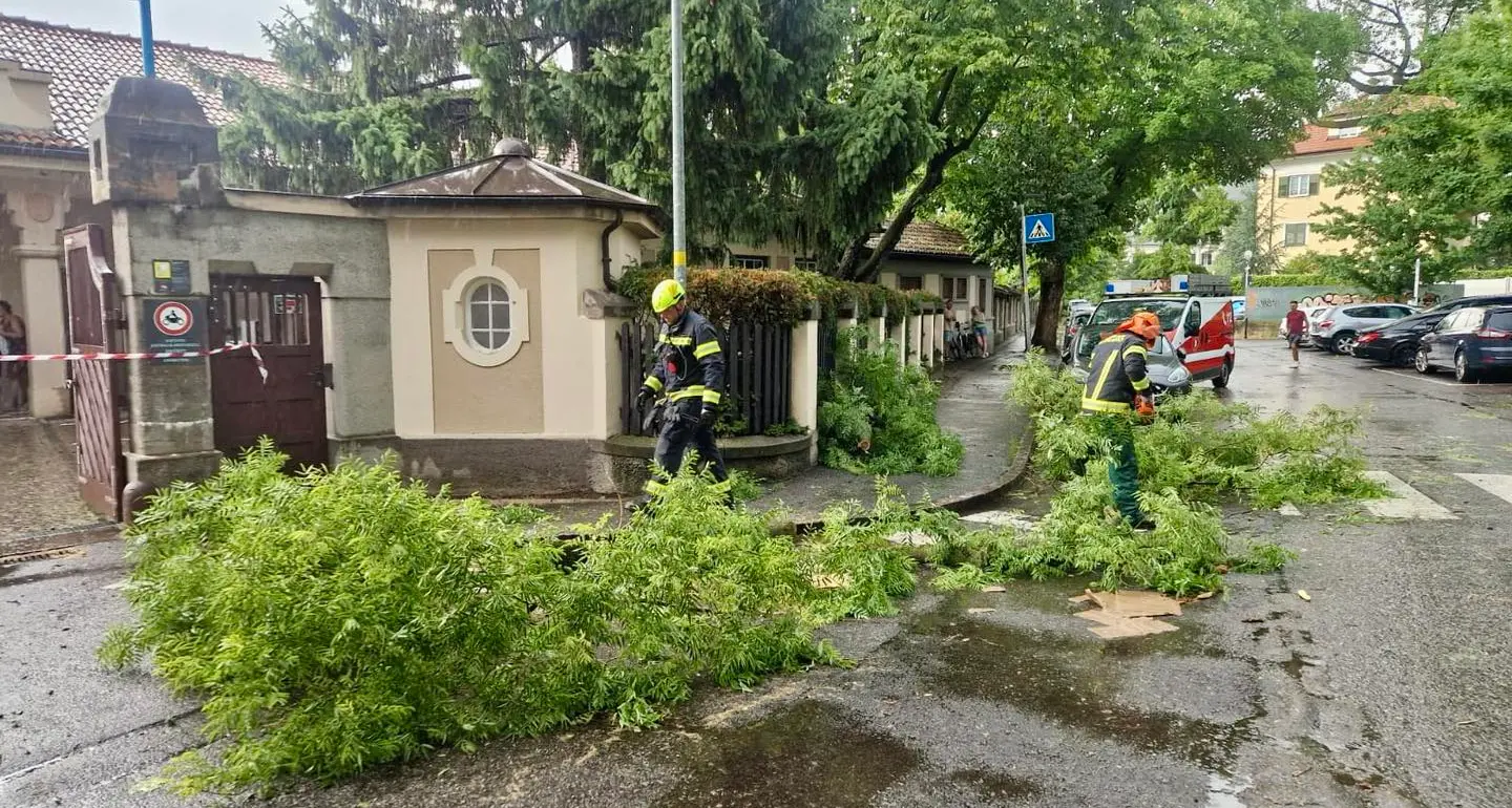 Vigili del fuoco al lavoro dopo i temporali in Alto Adige: alberi e rami caduti sulle strade