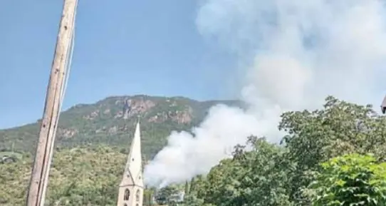 Provocò 25 incendi boschivi dolosi, la difesa chiede di patteggiare