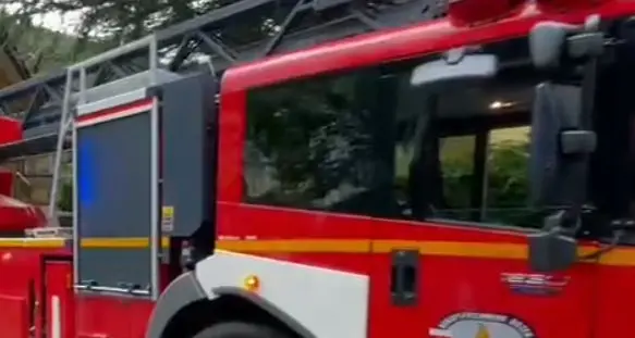 Settequerce, operaio travolto da un albero sradicato dal vento