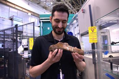 Frattura in guarigione cristallizzata nel tempo in una costola di T-rex VIDEO