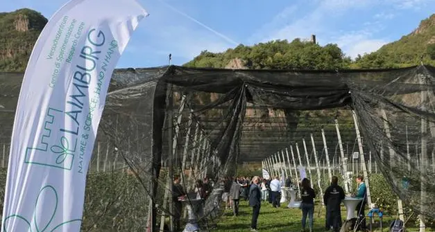 La Notte delle Cantine alla Laimburg: l’8 giugno apriranno le porte della “Felsenkeller”