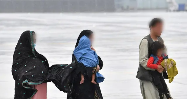 Polonia: morto un altro bambino afghano per funghi velenosi
