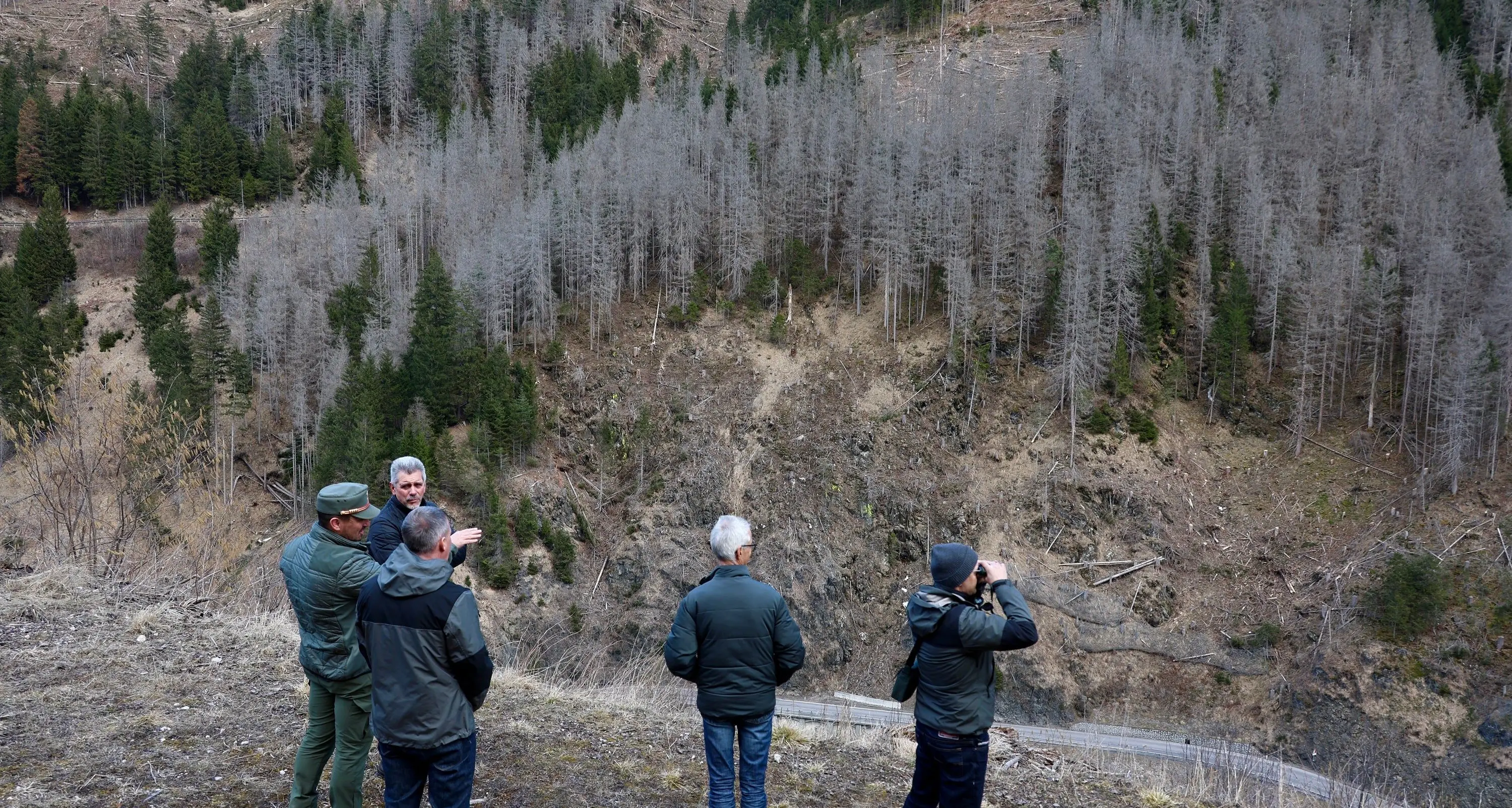 Val Badia, boschi danneggiati: sopralluogo di Walcher