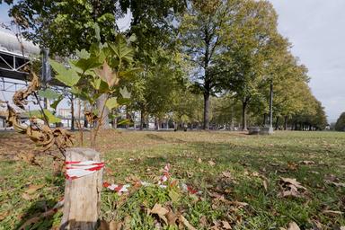 Accoltellato e ucciso in un parco a Torino, fermato il presunto assassino