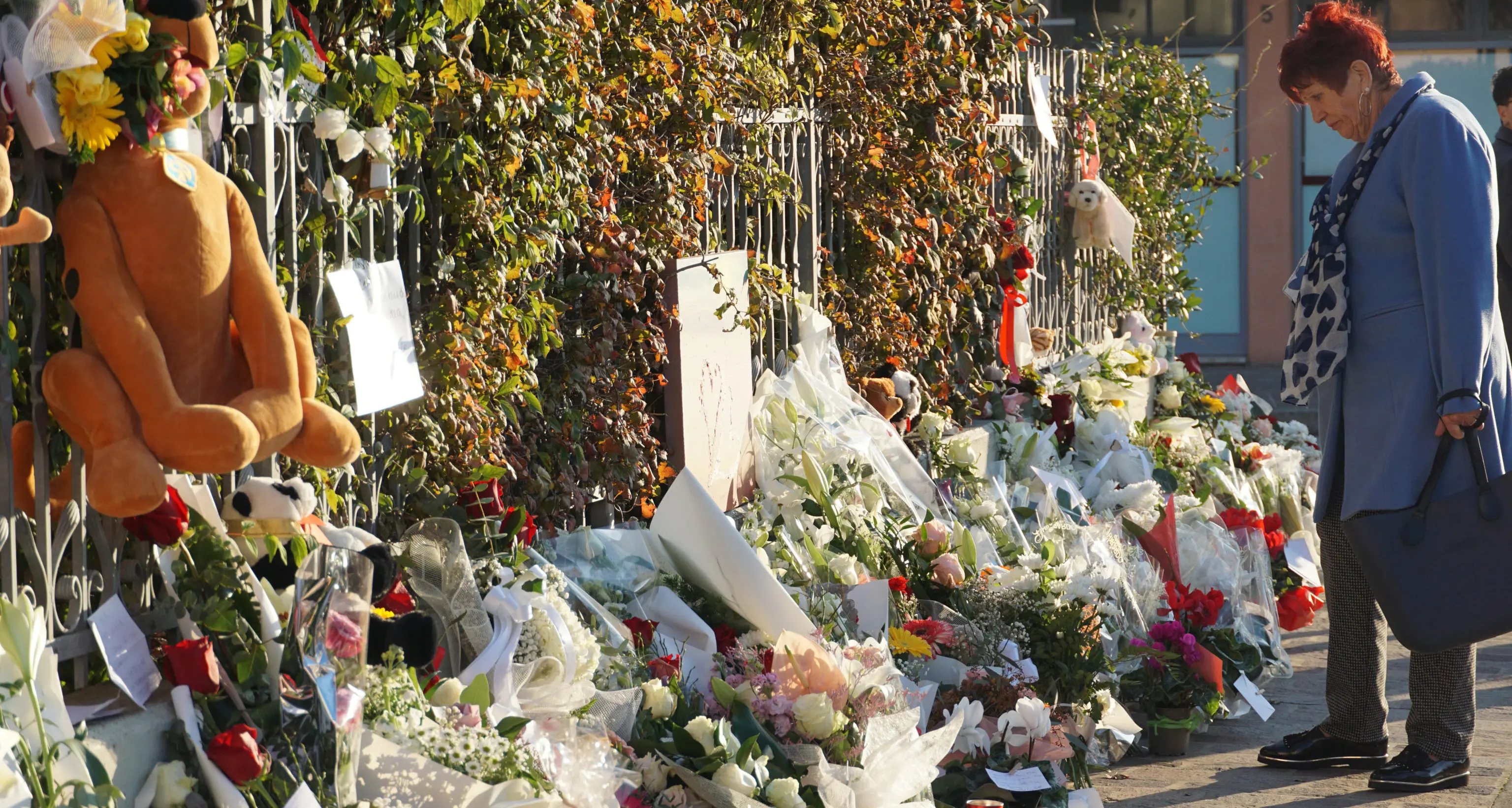 Giulia: Carabinieri, verifiche su correttezza procedure seguite