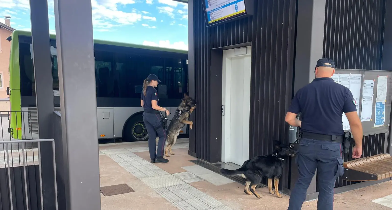 Controlli antidroga sul Renon con i cinofili dei carabinieri