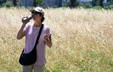 Un'altra settimana di caldo, sarà un Ferragosto a 40 gradi