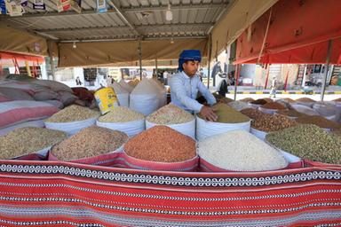 Fao, proposta record 20,6 miliardi di dollari di investimenti agroalimentari