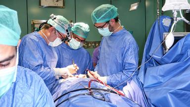 IA e tumori del cavo orale, a Sassari un modello per diagnosi precoce