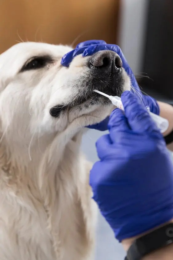 Profilazione genetica canina, da fine gennaio centri dedicati in tutto l’Alto Adige