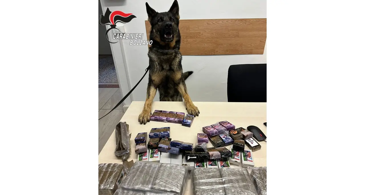 Maxi sequestro di droga: in casa di un bolzanino trovati 87 panetti di hashish