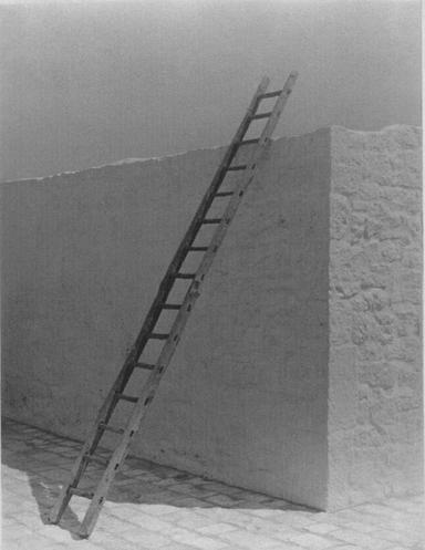 PhMuseumn Days 2026, a Bologna la fotografia diventa un 'Archipelago'