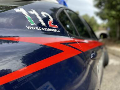 Sorprende ladri nel cortile di casa, spara e ne uccide uno