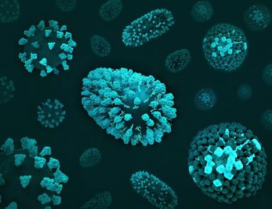 C'è un legame tra microbioma e tumori, trovate firme di 341 batteri