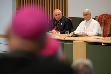 Il Papa, 'gli abusi sono una piaga, massima vigilanza'
