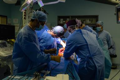 Italia seconda tra i grandi Paesi europei per tasso di donazione di organi