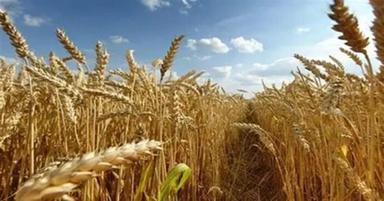 Cia, parte il roadshow "Territori che rigenerano"