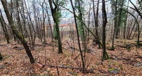 Rio di Aslago, nuovo intervento per ridurre il rischio idraulico
