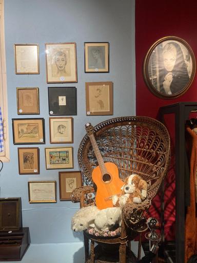In mostra prima dell'asta a Parigi gli oggetti personali di Brigitte Bardot