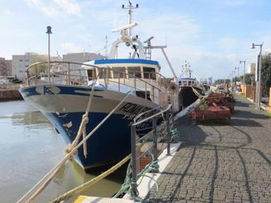 Dal primo ottobre scatta il Fermo Pesca per un mese sulle coste del Lazio