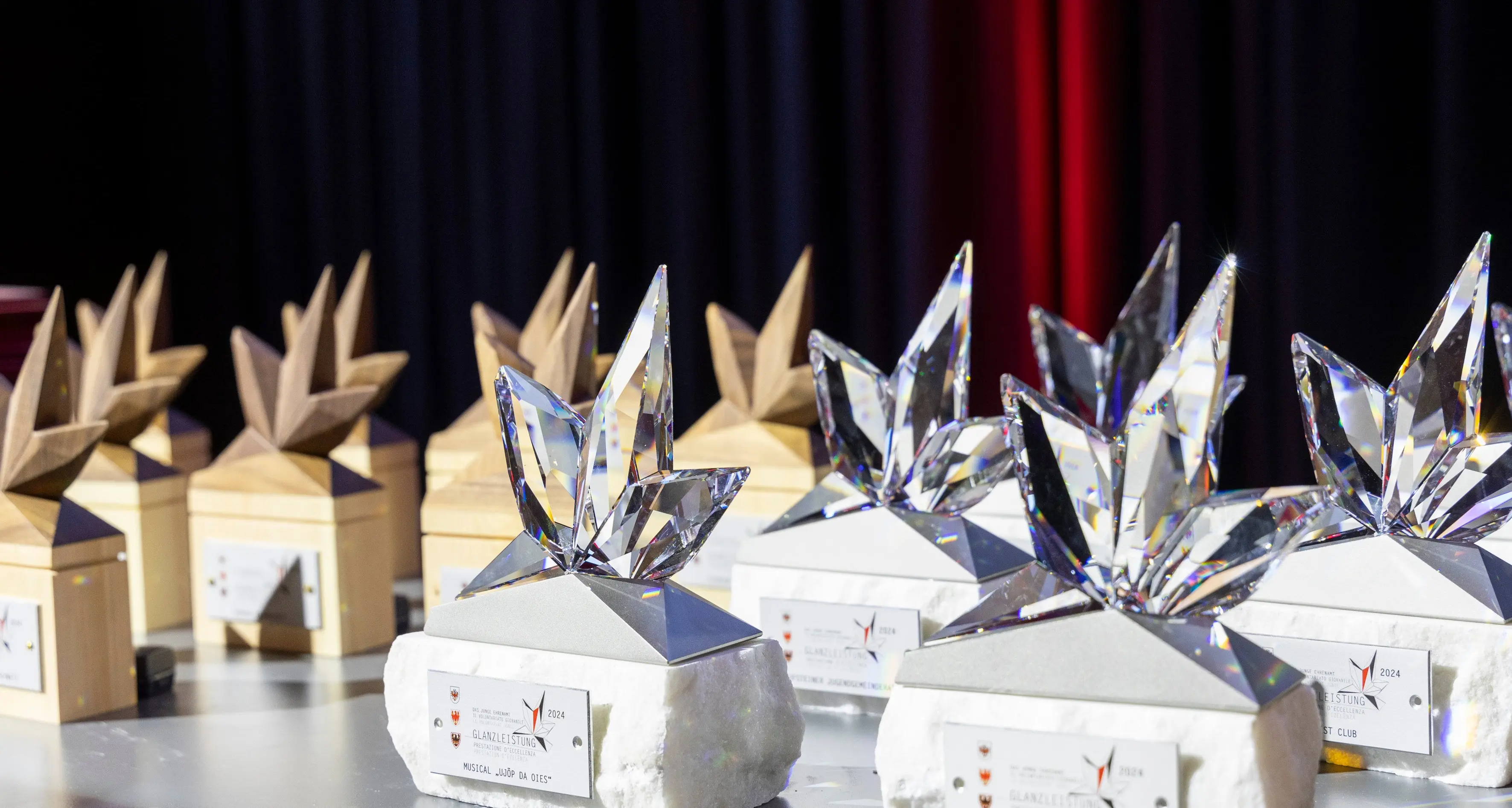 Premio Euregio volontariato giovanile: candidature aperte fino al 27 febbraio