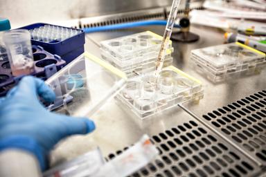Attivato il protocollo per un sospetto caso di Ebola in Trentino