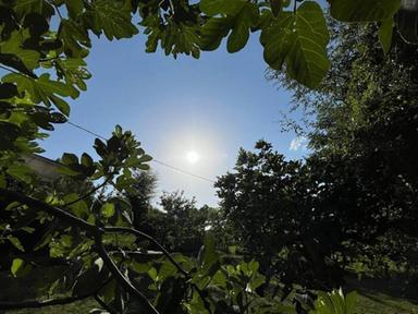 Caldo e afa non mollano, l'allerta fino a dopo ferragosto