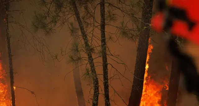 Portogallo: incendio vicino Lisbona, evacuata casa di riposo