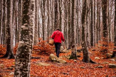 Sapori d'autunno nell'Appennino emiliano