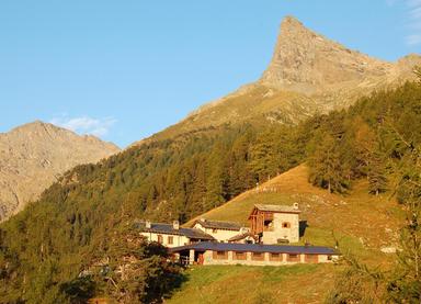 Agricoltura, un milione di euro per il miglioramento degli alpeggi VdA
