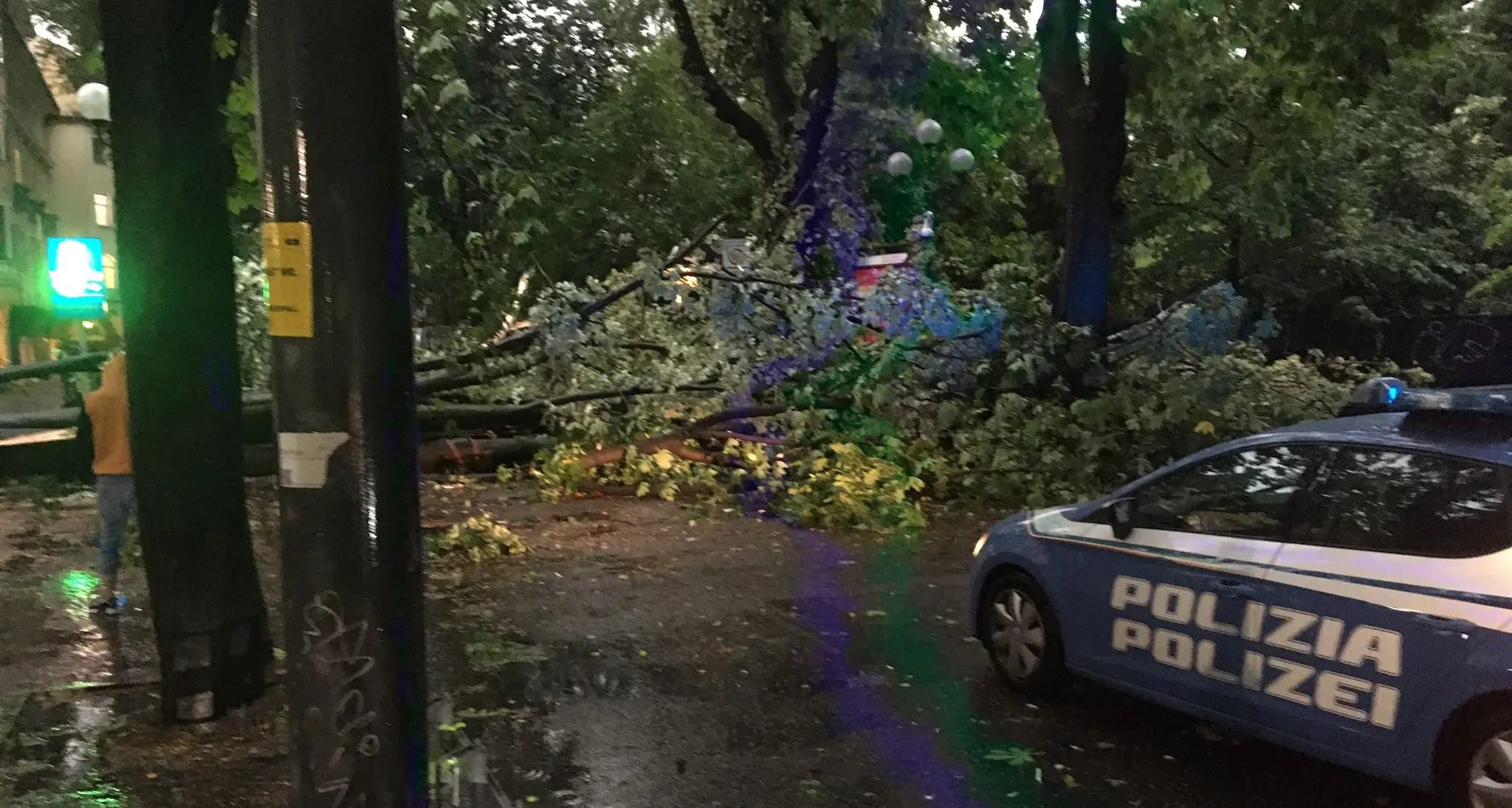 Nubifragio a Bolzano: alberi caduti e lamiere che volano