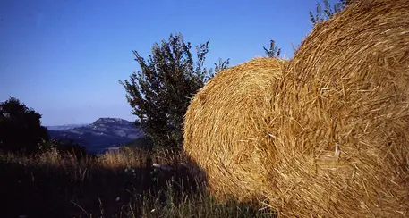Teodone, uomo muore colpito da una balla di fieno
