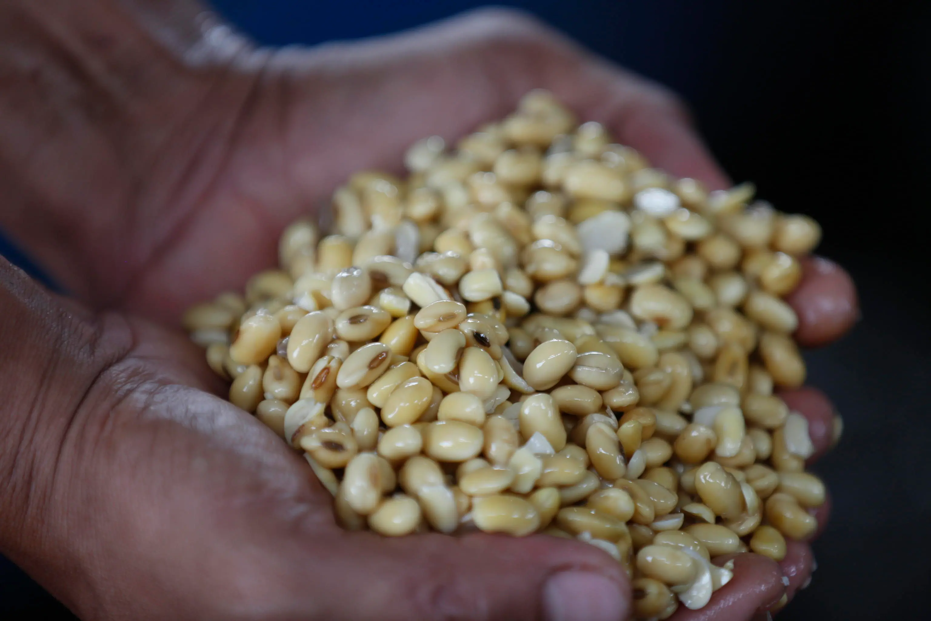 L'Eurocamera frena la stretta Ue ai biofuel a base di soia per gli obiettivi 'green'