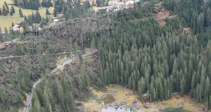Cambiamento climatico e pericoli naturali: la Protezione civile altoatesina studia l'area colpita da Vaia