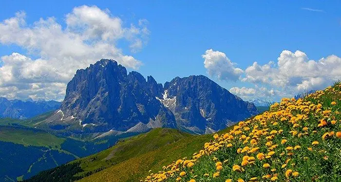 Studio Eurac sulla biodiversità: agricoltura intensiva sotto accusa