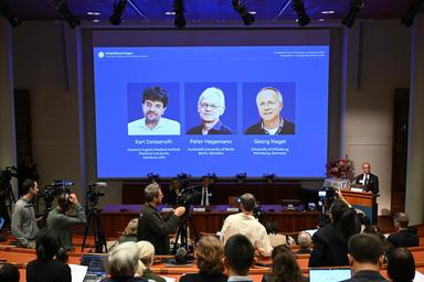 Chi sono i vincitori del Nobel per la Medicina