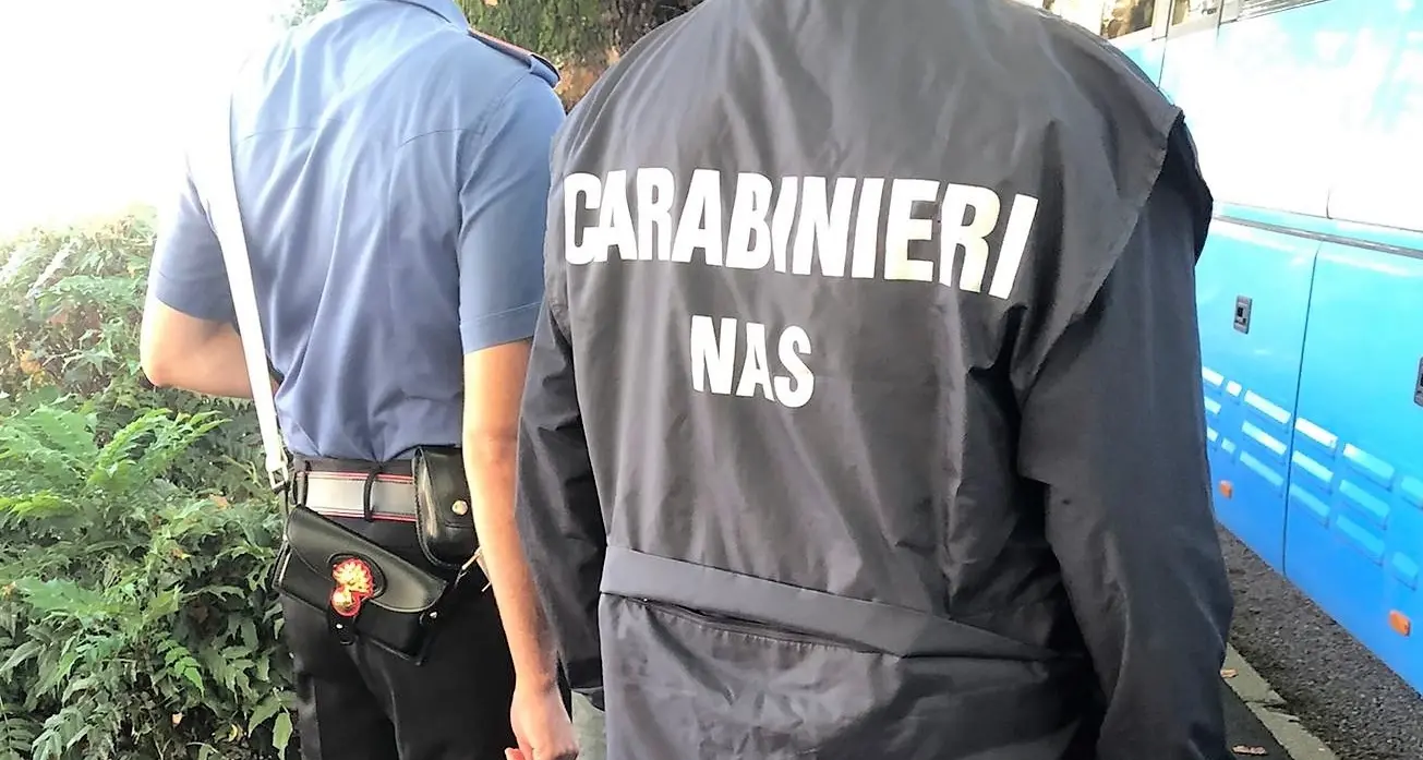 Niente Green Pass: multa per il ristoratore e 7 clienti a Bolzano