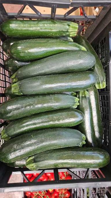 Al mercato zucchine prodotto salva-spesa, -20% in un anno nonostante caro-carburante