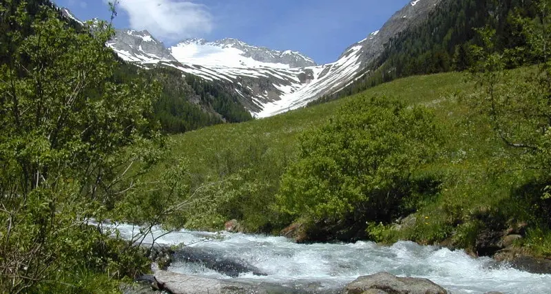 Schuler: «La nuova legge getta le basi per la pesca in Alto Adige»