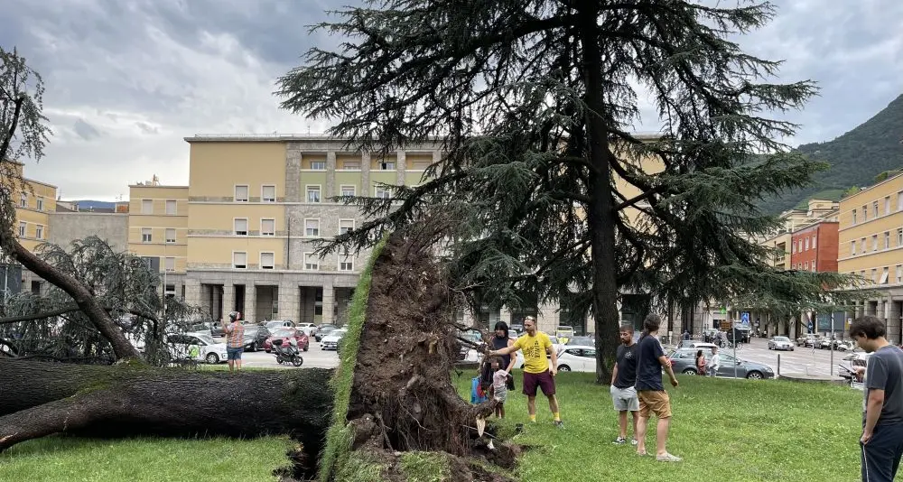 Danni e disagi per i violenti temporali in tutto l'Alto Adige. Previsti altri nubifragi nella notte