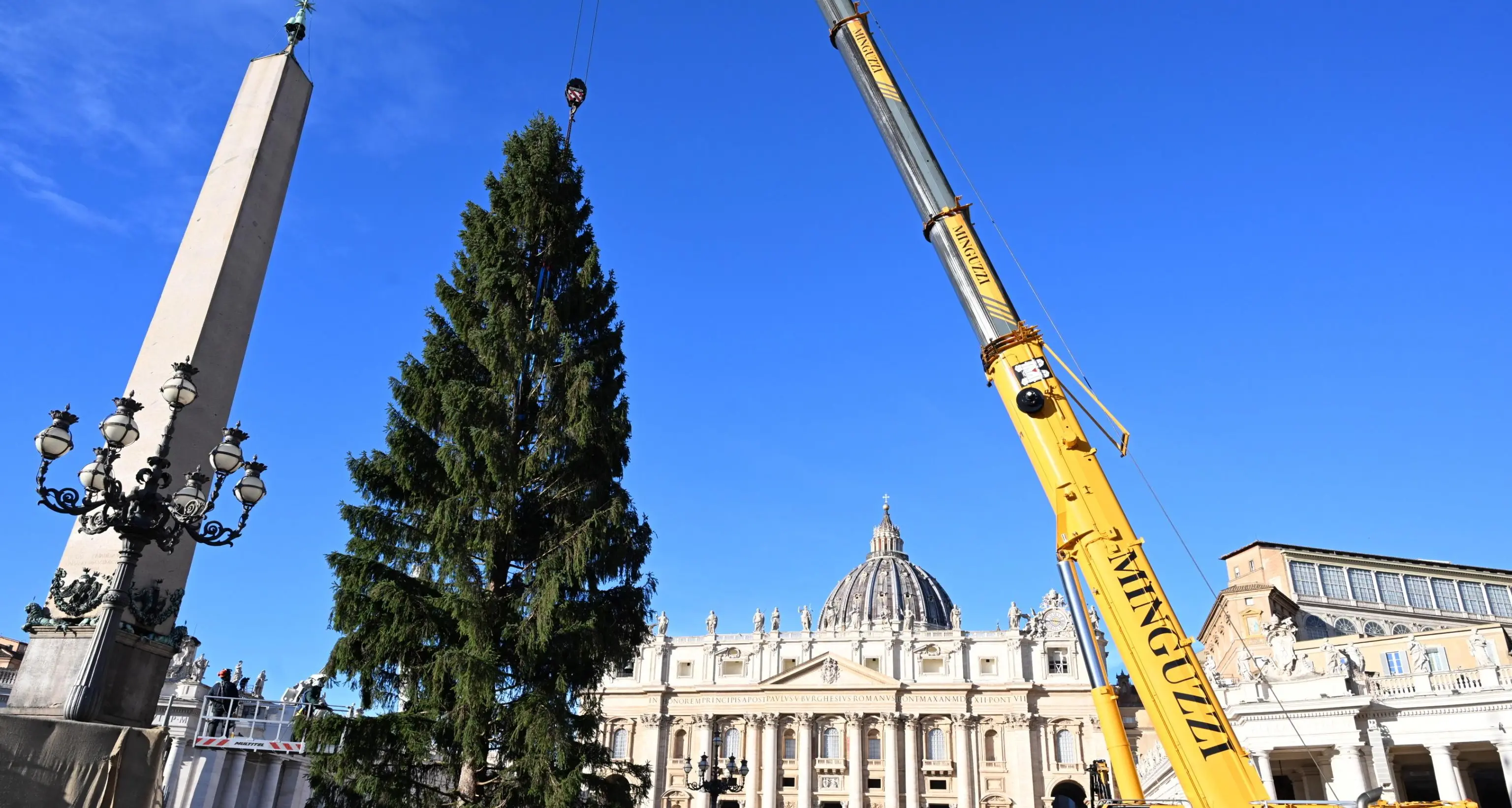 In Piazza San Pietro svetta l’albero di natale arrivato dalla val d’Ultimo