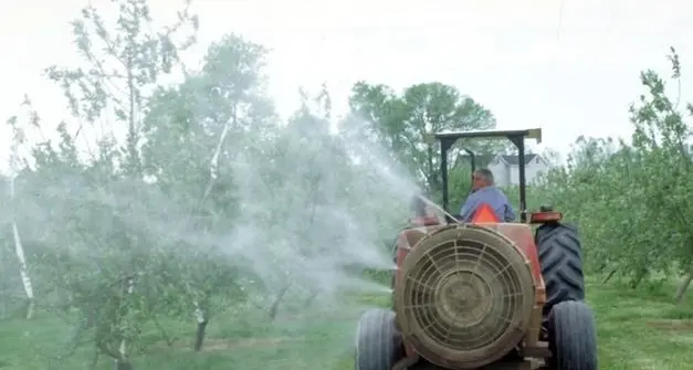 Pesticidi, il Consiglio di Stato annulla l'ordinanza di Malles: si potranno usare ancora in agricoltura