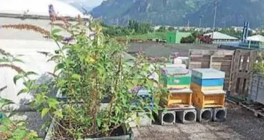 Il progetto: tre alveari sui tetti di Bolzano sud