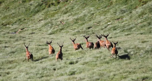 Parco dello Stelvio, ecco le nomine per il nuovo Comitato di gestione