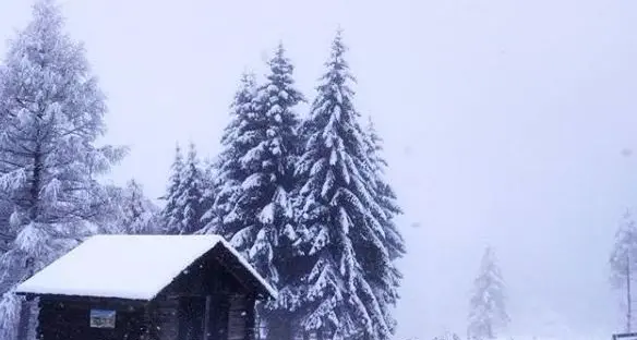 L'inverno scalda i motori, attesi 30 centimetri di neve in Alto Adige