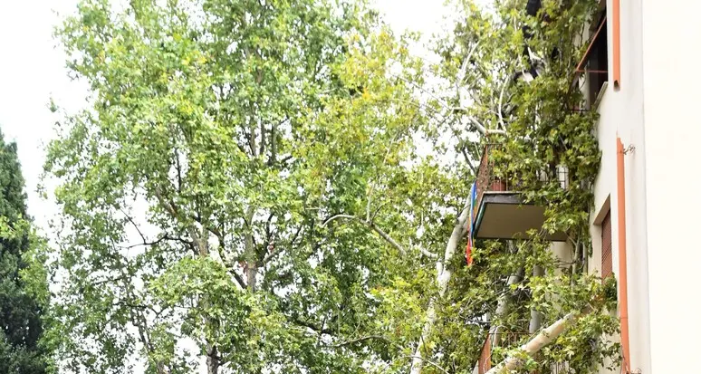 Bressanone, tetti danneggiati e blackout: ingenti i danni del maltempo
