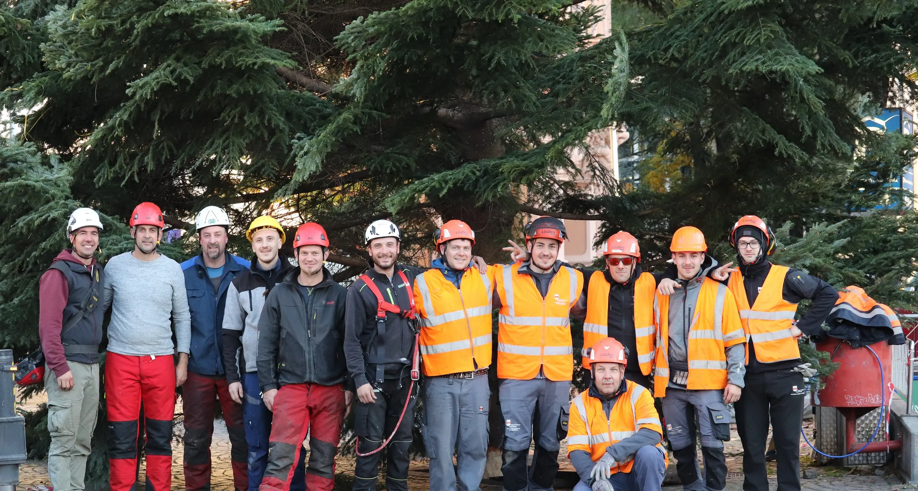 Piazza Walther accoglie l’albero di Natale: un abete di 20 metri da Aica